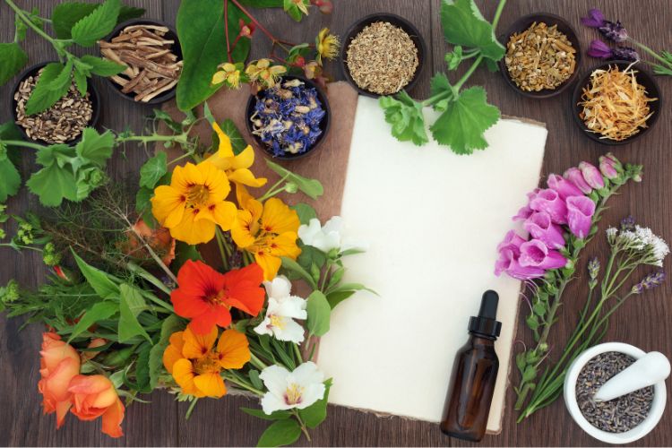 site-vitrine-naturopathe-1